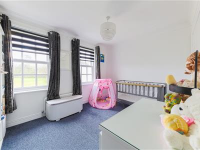 Picture 25